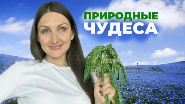 Полезные травы для быстрого похудения: ускоряем метаболизм